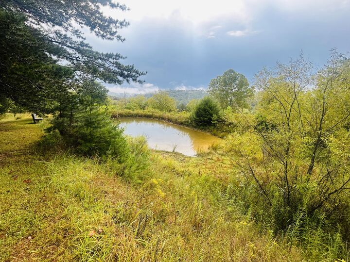 Property Photo:  889 Bullock Cemetery Road  KY 42503 