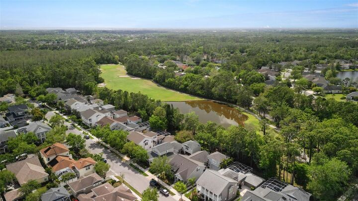 10455 Green Links Drive  Tampa FL 33626 photo