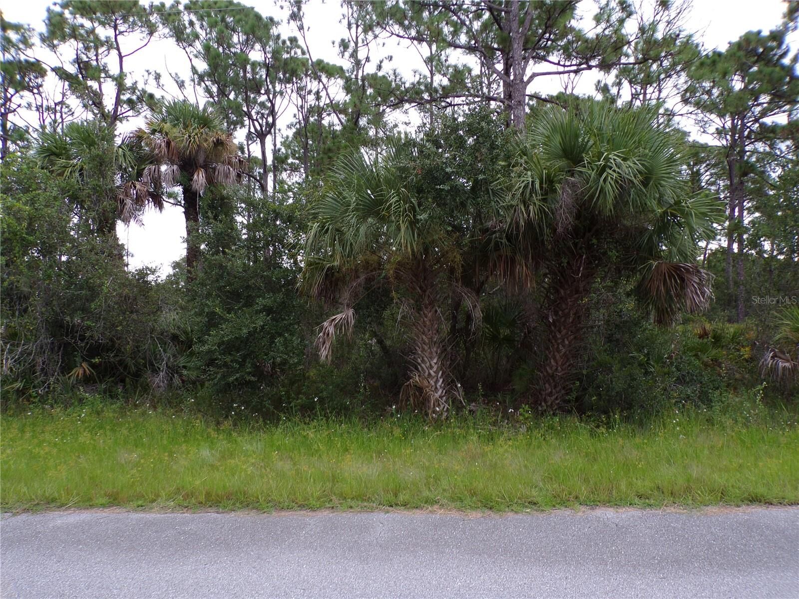 Property Photo: 14020 Carrie Avenue FL 33953