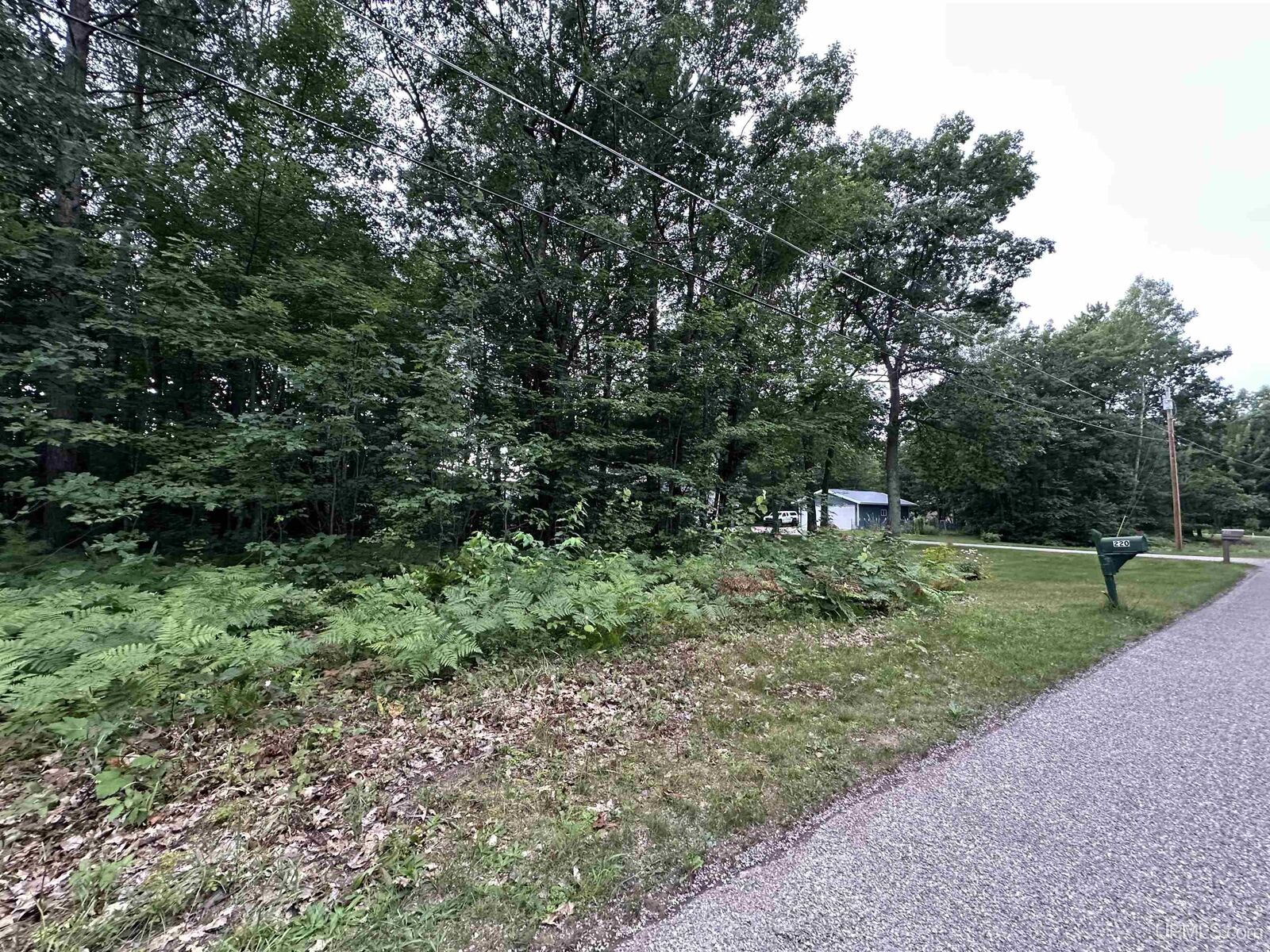 Property Photo:  225 Oakridge Drive  MI 49855 