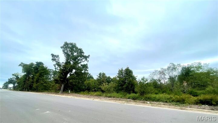 Property Photo:  0 Ivey Lane  MO 65536 