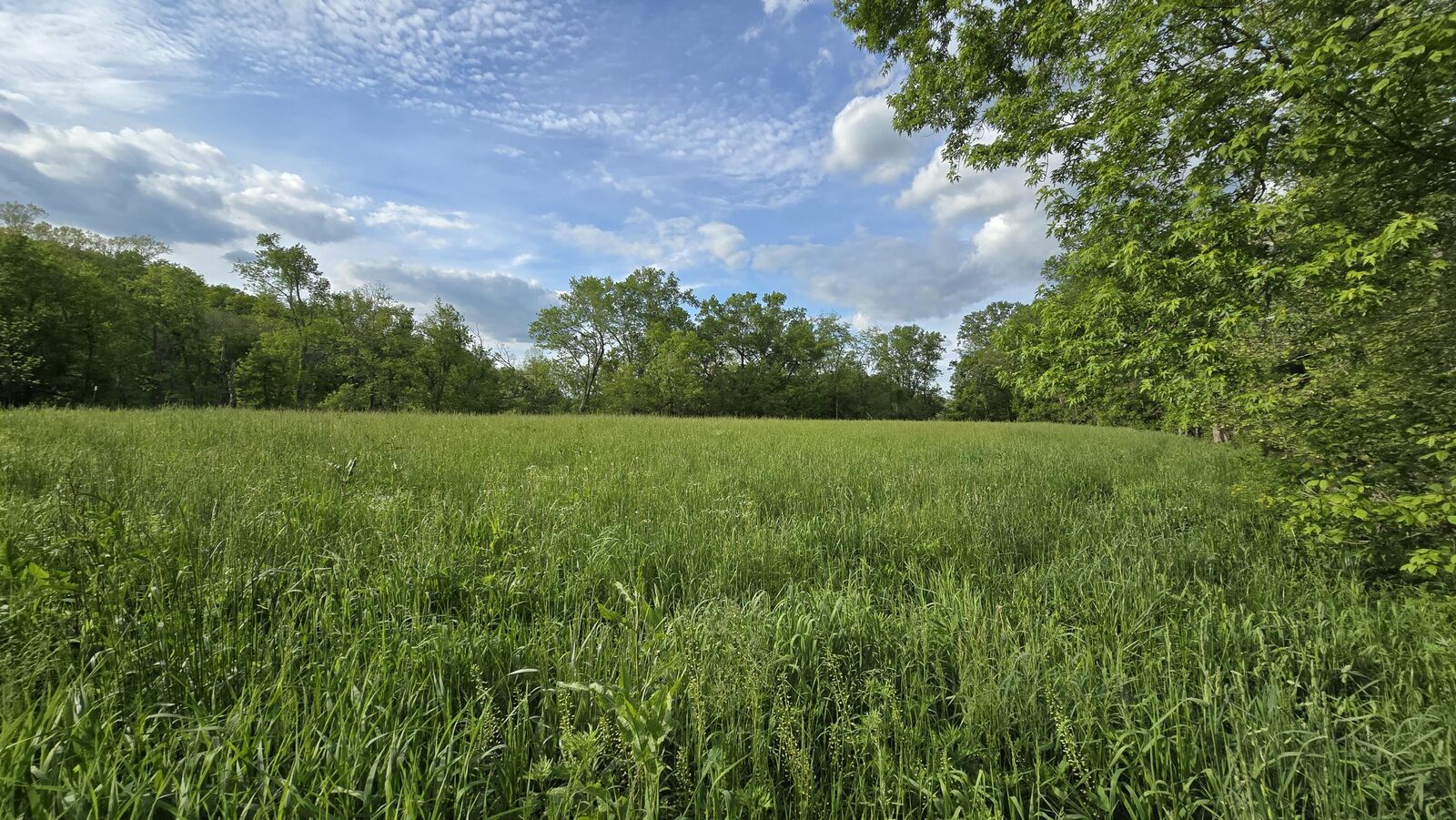 Property Photo: Tract 2 Folsom Jonesville Road KY 41046