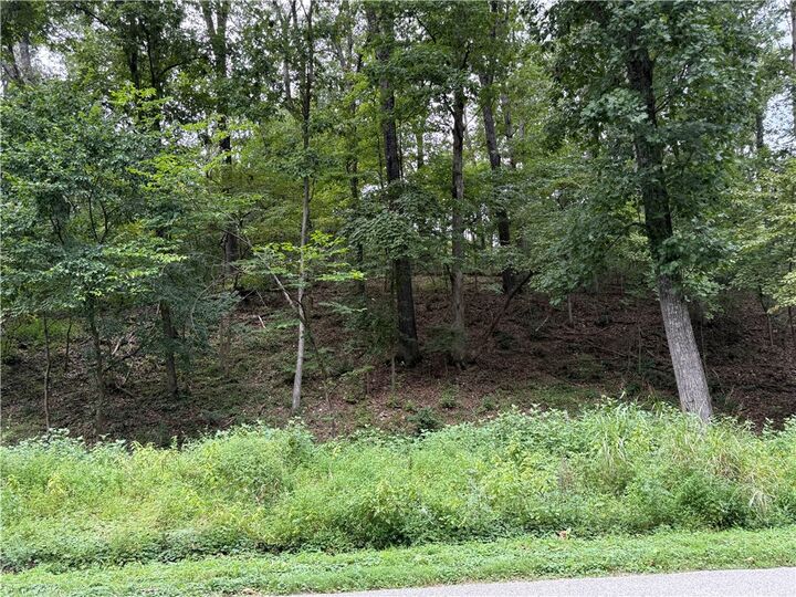 Hilltop Drive  Rogers AR 72756 photo