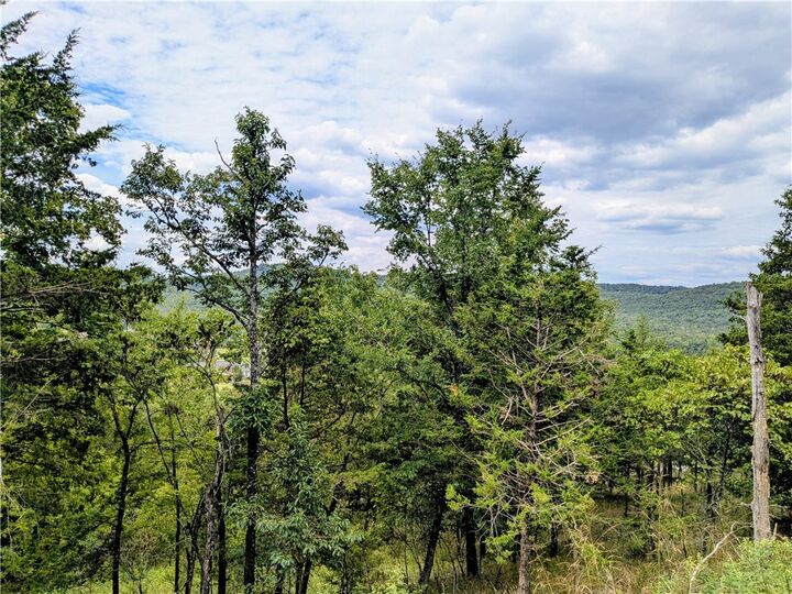 Property Photo: 7 Quailrun Lane AR 72631