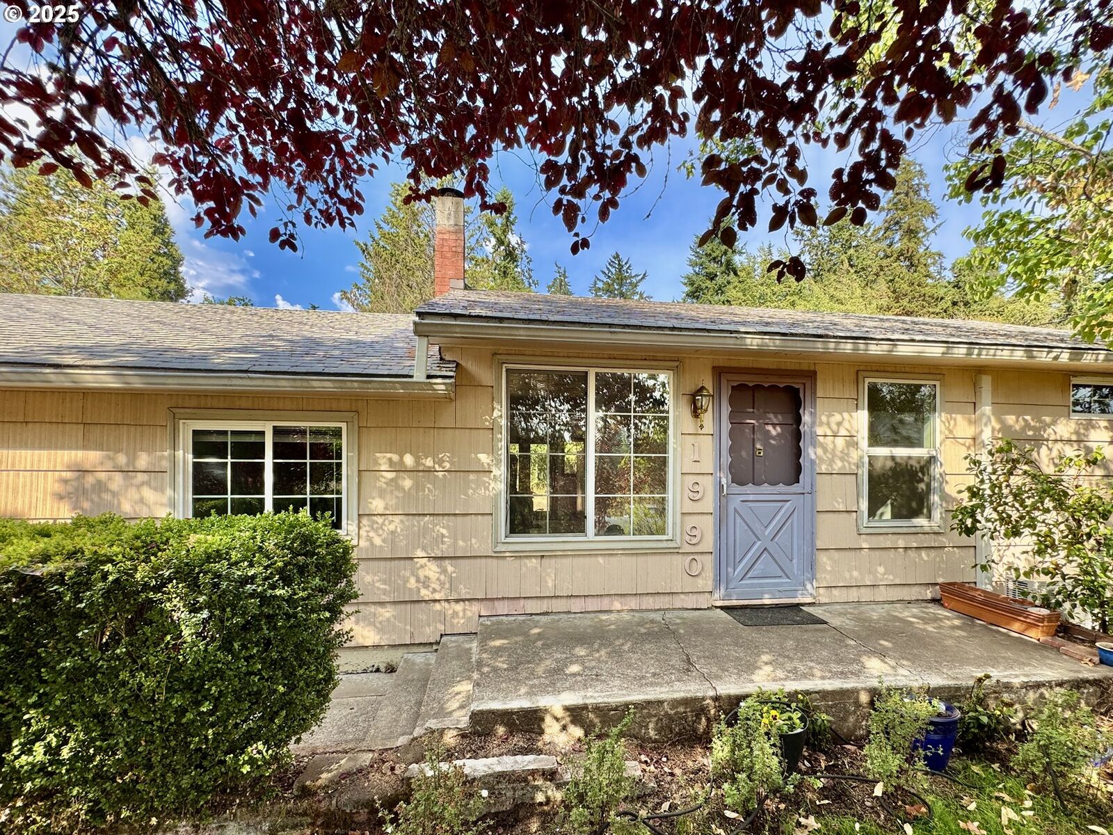 Property Photo: 1990 Augusta St OR 97403