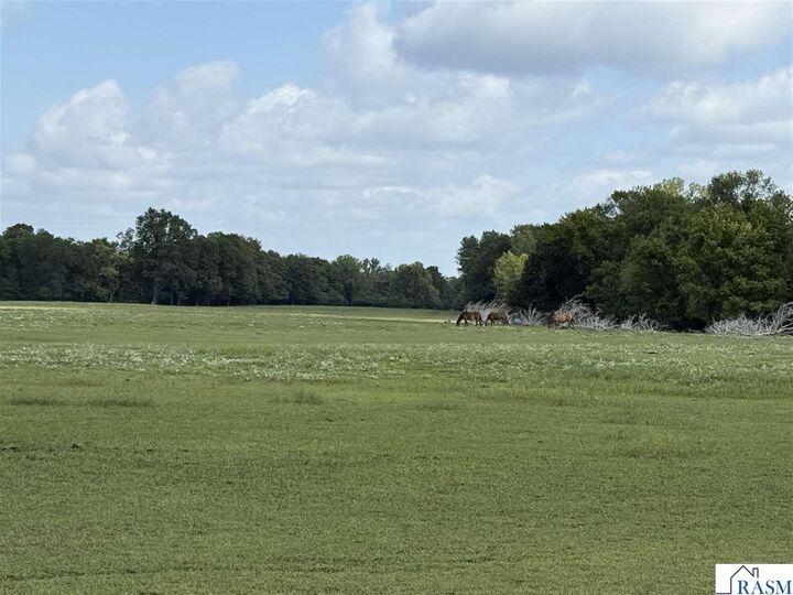 Property Photo: 38388 512th Street MN 56003