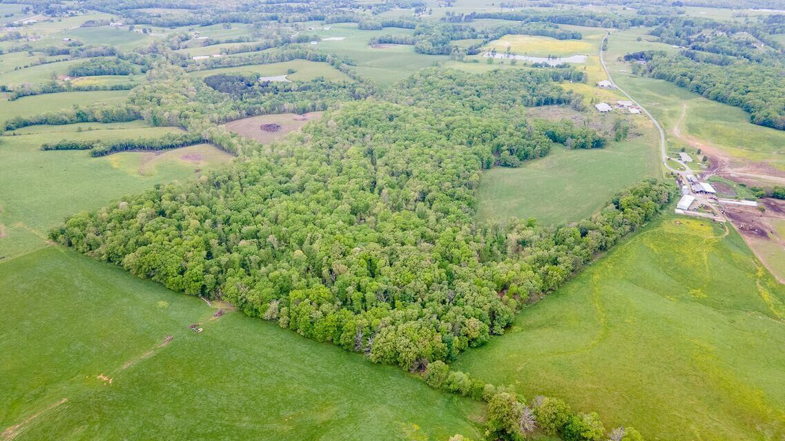 Property Photo: 0 Bradley Wyatt Road TN 37367