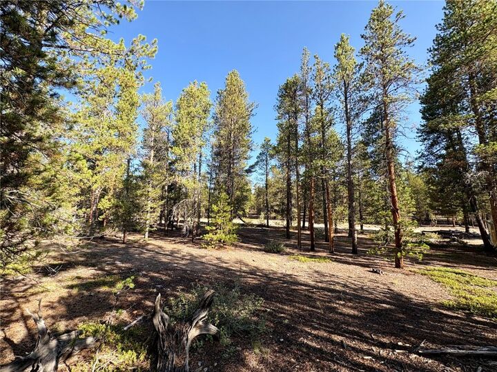 Property Photo:  776 Birch Drive  CO 80461 