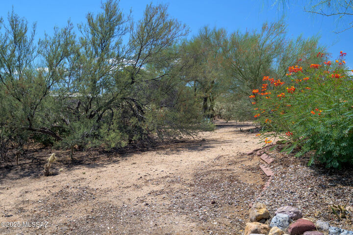 Property Photo: 1420 N Rio Sonora AZ 85614