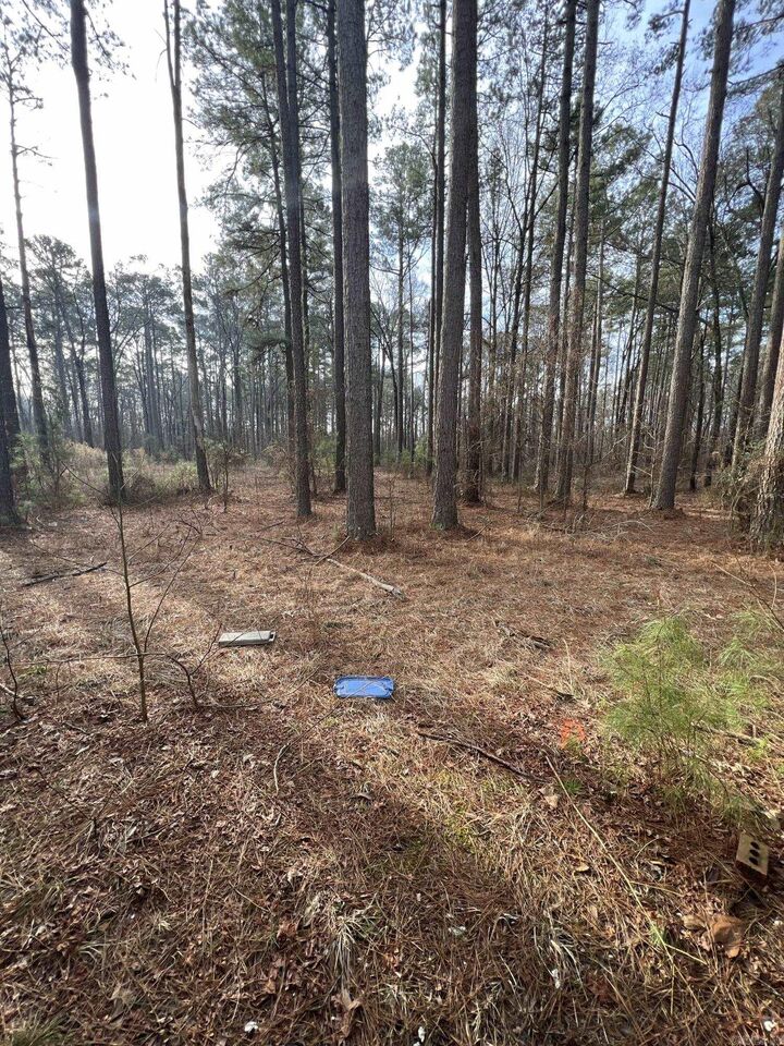Property Photo: 7603 Sorrells Rd AR 71603