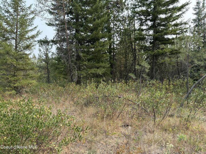Property Photo:  Nka Remington Rd  ID 83801 