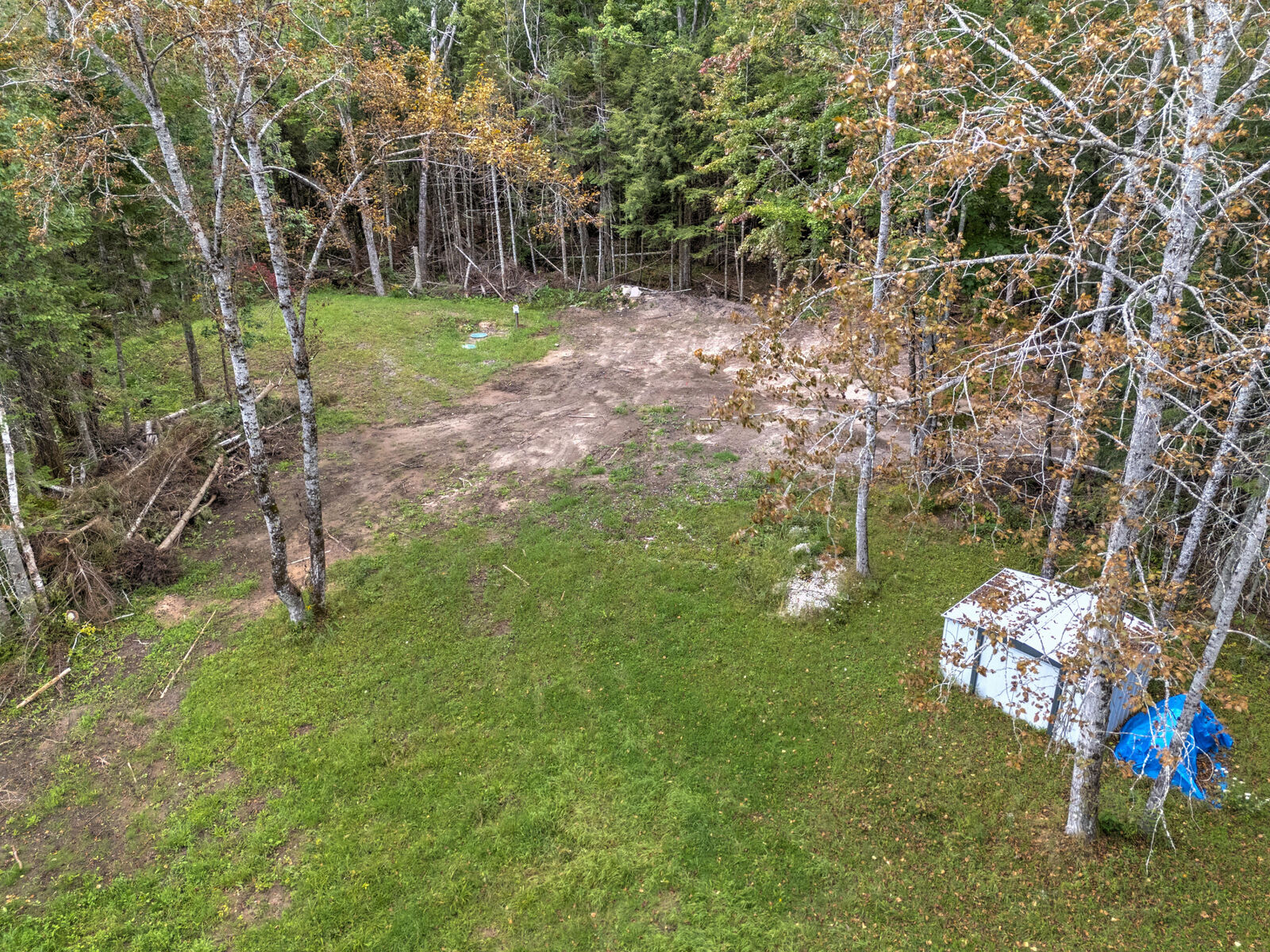 Property Photo:  17403 Norton Road Rd  MI 49838