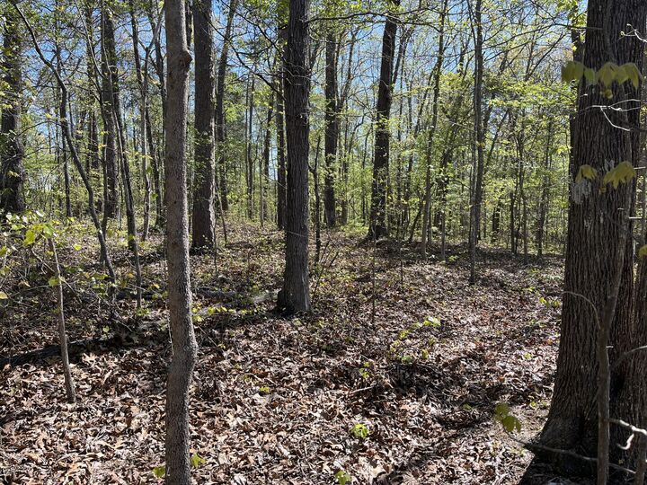 Property Photo: 35 Acres Lafayette Road GA 30740