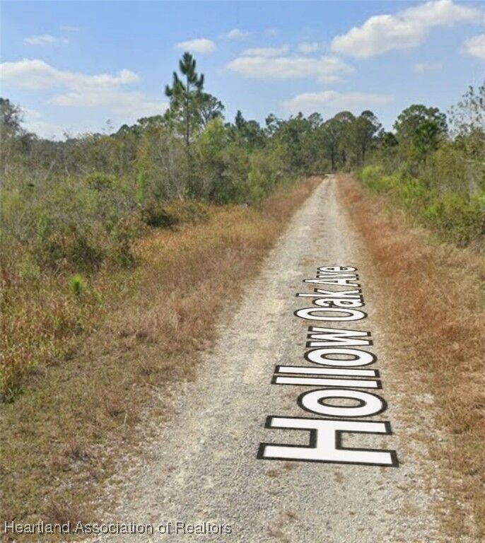 Property Photo: 3108 Hollow Oak Avenue FL 33852