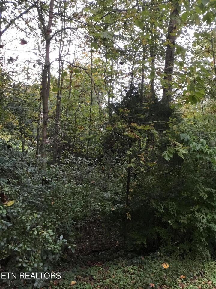 Property Photo: 0 Timbercrest Drive TN 37716