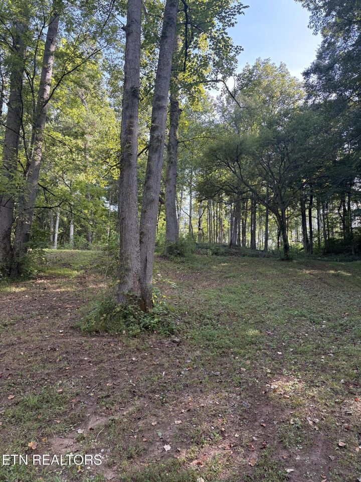 Property Photo: 732 Wooddale Road TN 37924