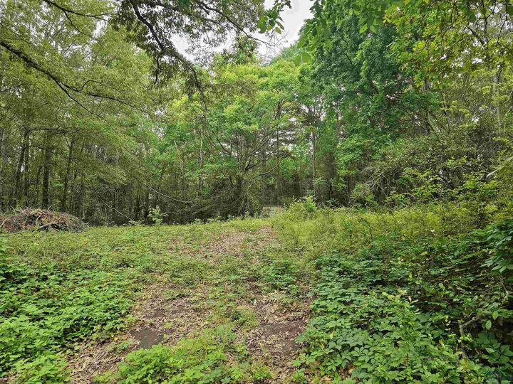 Property Photo: 125 Jenkins St TX 75654