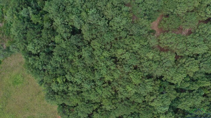 Property Photo:  0000 E Texas Highway 77  TX 75551 