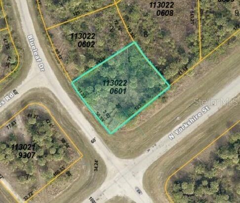 Property Photo: Lot 2 Blueleaf Drive FL 34288