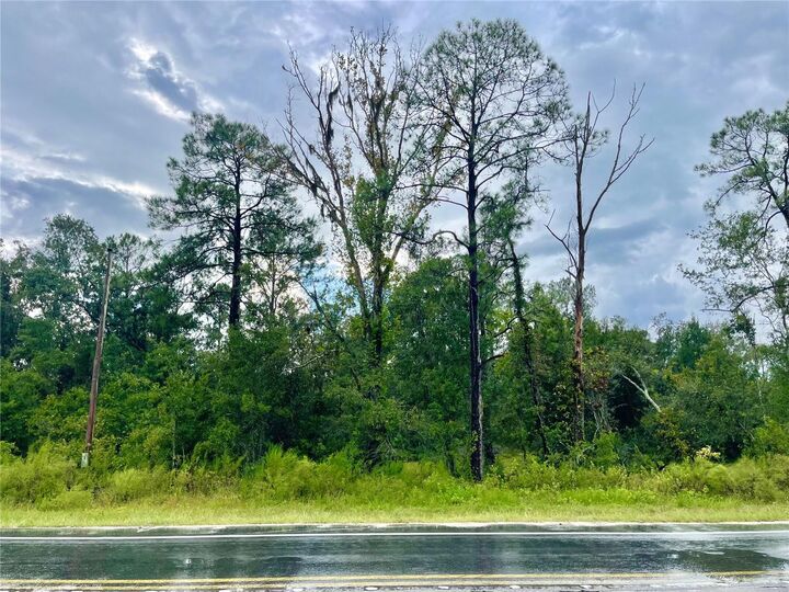 Property Photo: 0 US Highway 98 N FL 33809