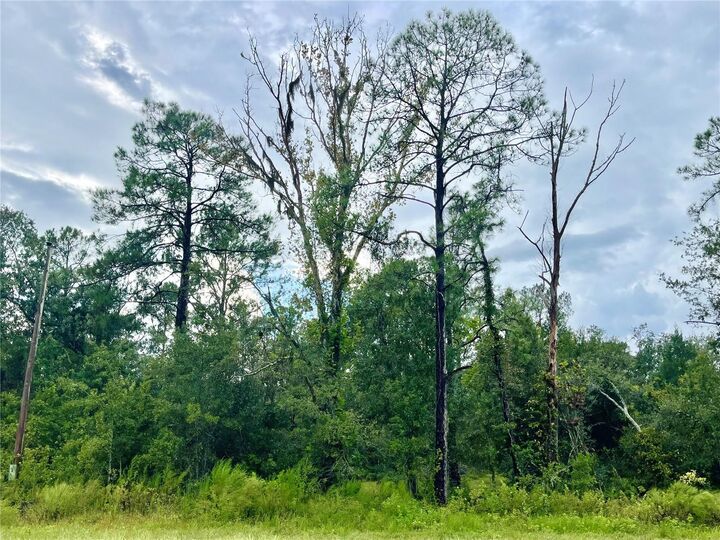 Property Photo: 0 US Highway 98 N FL 33809