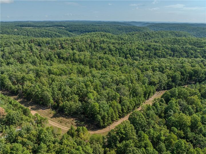 Ravenwood Lane  Yellville AR 72687 photo