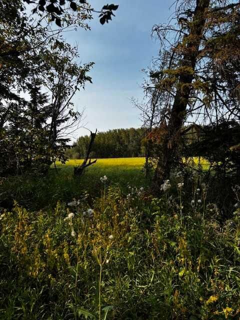 Property Photo: 460021 Rge Rd 241 AB T9A 1X1