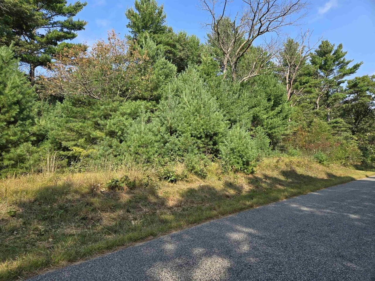 Property Photo: Lot 40 18th Avenue WI 54613