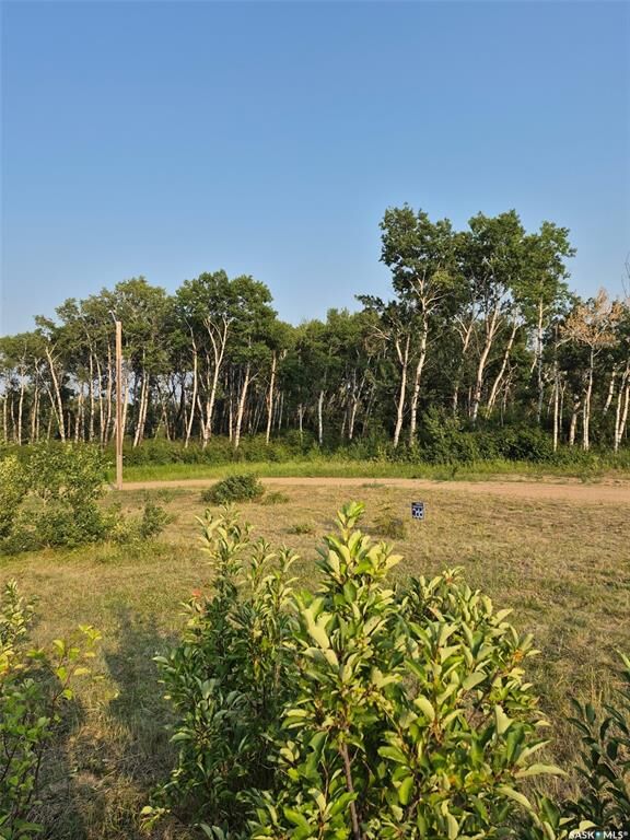 Photo de la propriété:  309 Sandy Crescent  SK S0A 0L0 