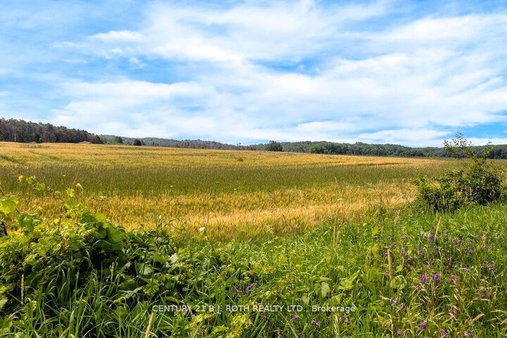 Photo de la propriété:  570 Curry Road  ON L9M 2C8 