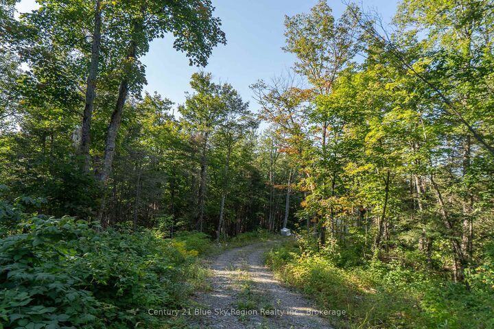 Photo de la propriété:  1060 Lot 7 Four Mile Lake Road  ON P1B 8G2 