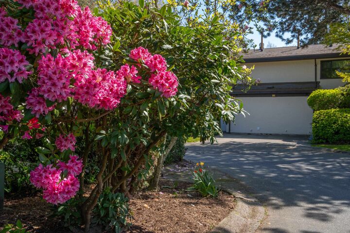 Property Photo: 11491 7th Avenue 71 BC V7E 4J5