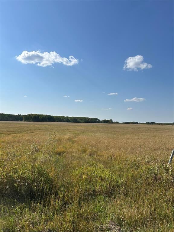 Property Photo:  0 Monimento Road  MB R5L 0C8 