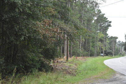 Property Photo:  Lot 14 Tupperware Road  SC 29554 