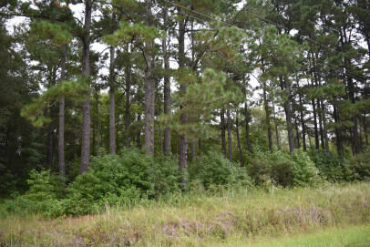Property Photo: 1544 Isabella Road SC 29556