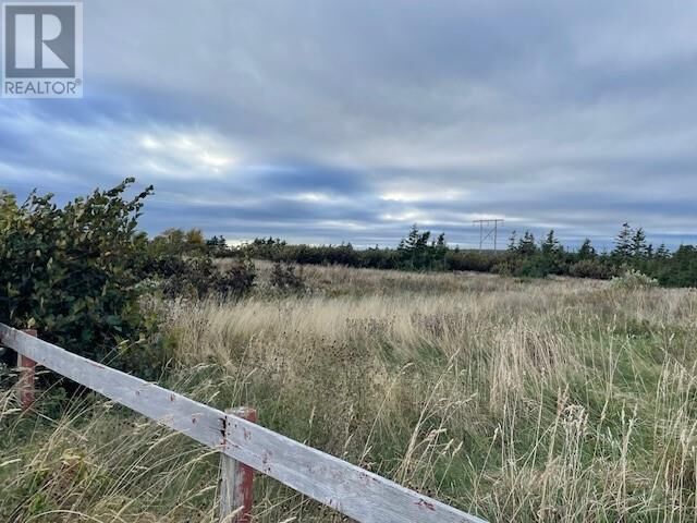 Property Photo:  Lot 1 McIsaac'S Lane  NL A0N 1T0 
