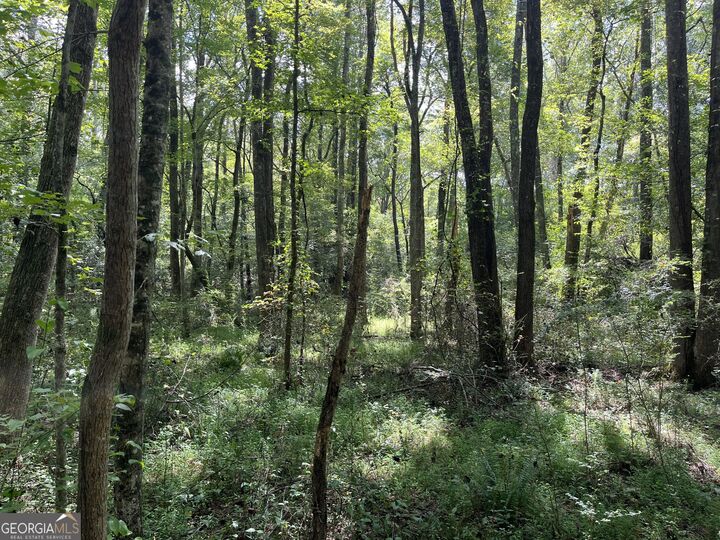 0 Ga Highway 120  Tallapoosa GA 30176 photo