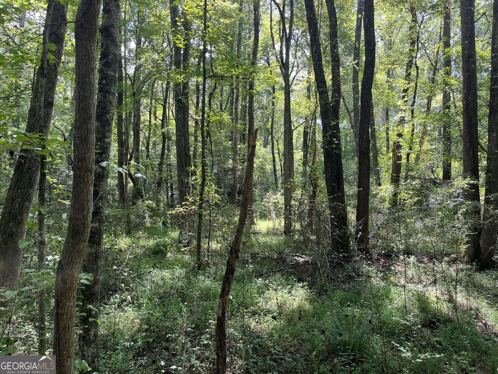 Property Photo: 0 Ga Highway 120 GA 30176