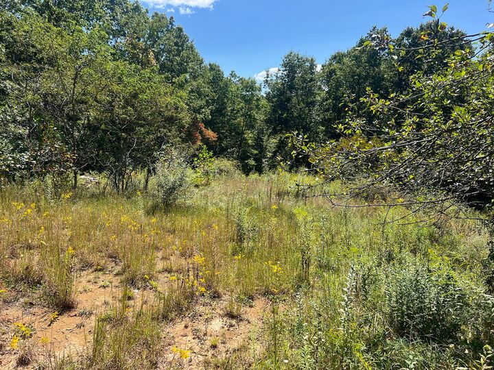Property Photo: Hamilton Ridge Road WV 24910