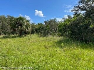 Property Photo:  715 S Young Avenue  FL 33825 