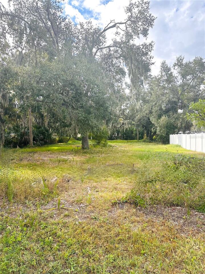 Property Photo:  0 Palm Ave  FL 33534 
