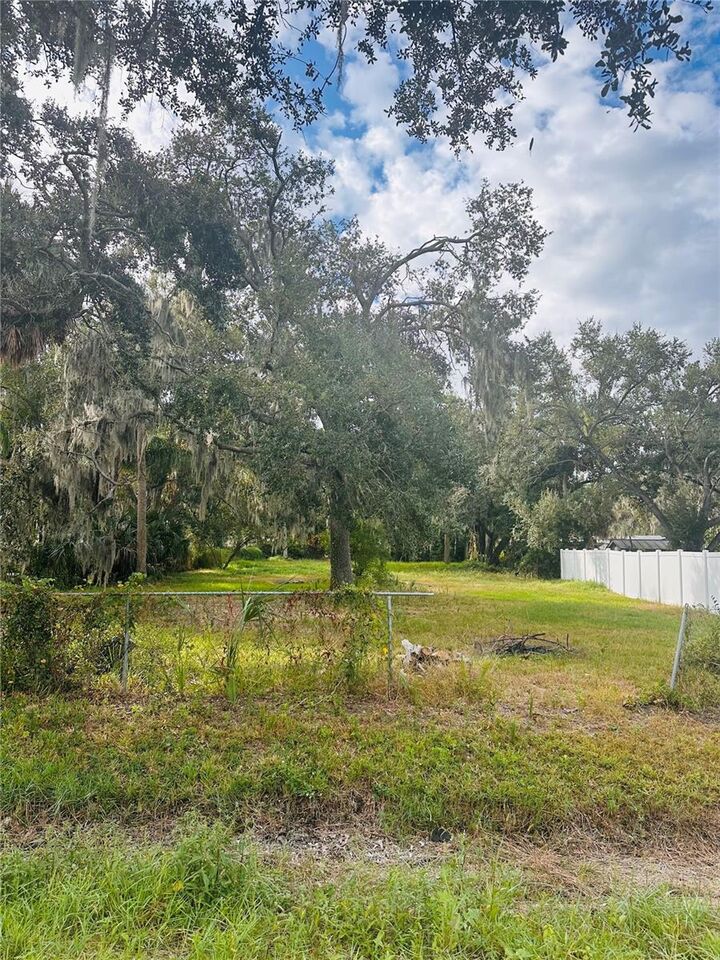 Property Photo:  0 Palm Ave  FL 33534 