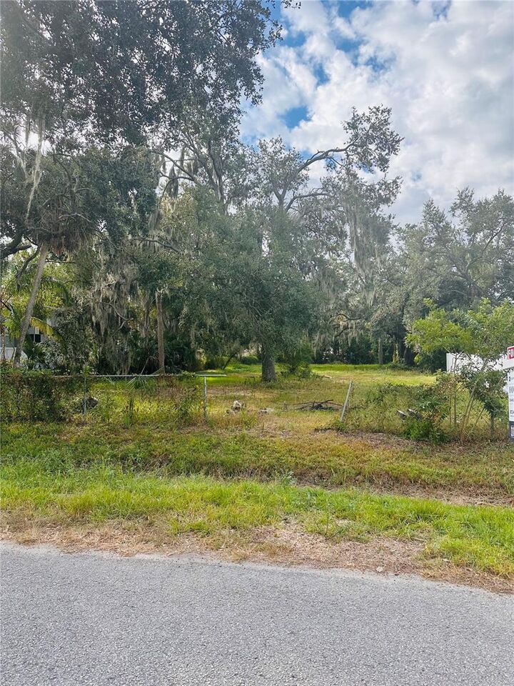 Property Photo:  0 Palm Ave  FL 33534 