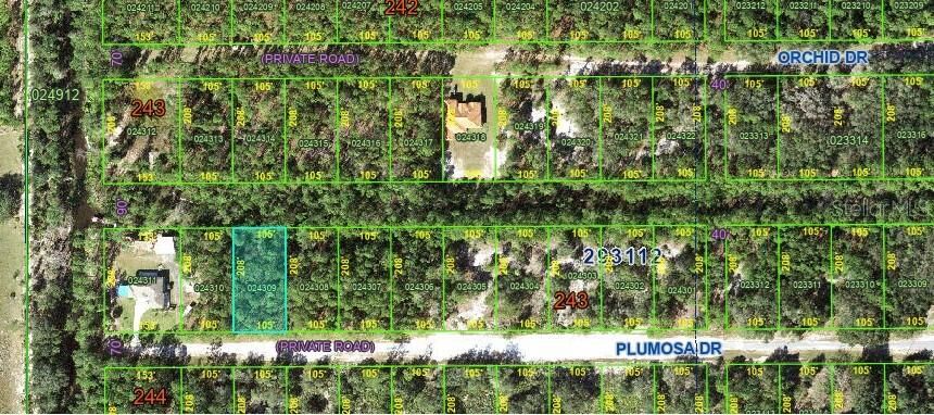 Property Photo:  1118 Plumosa Drive  FL 33855 
