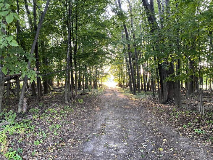 Property Photo: 4451 Hillman Road MI 48850