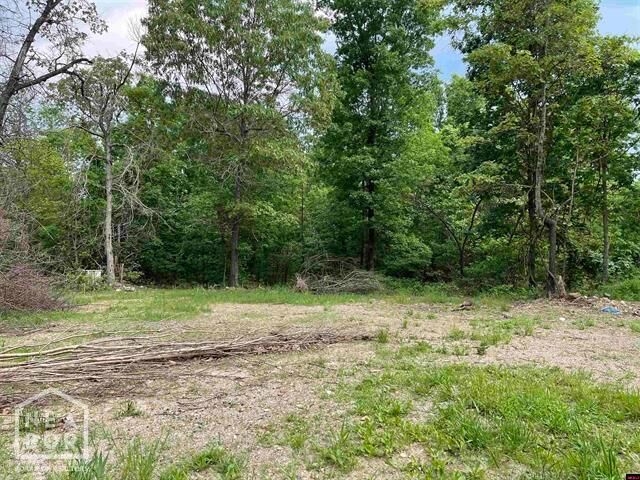 Property Photo:  1158 Brushy Fork Road  AR 72687 