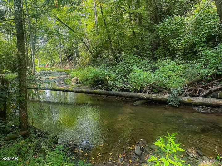 Property Photo: 134 Wildwood Way TN 37738