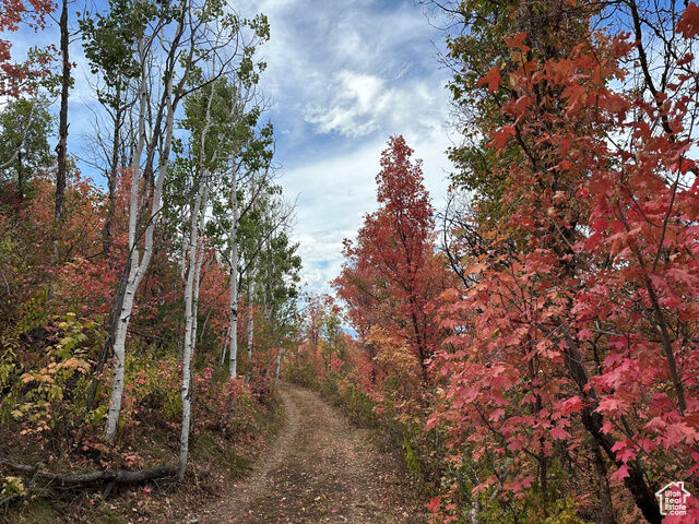 Property Photo: 5071 S Woodland Way 30-32 UT 84036