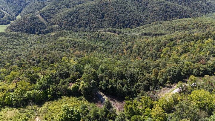 Property Photo:  0 Toms Run  WV 25979 