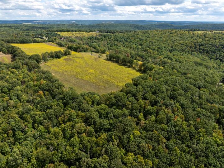 Property Photo:  8015 Peacock Road  NY 14810 